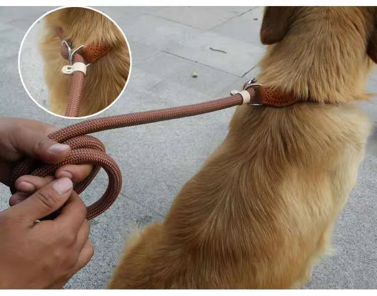 Brown nylon dog lead with P chain section and hand holding rope, 2.1 metres long