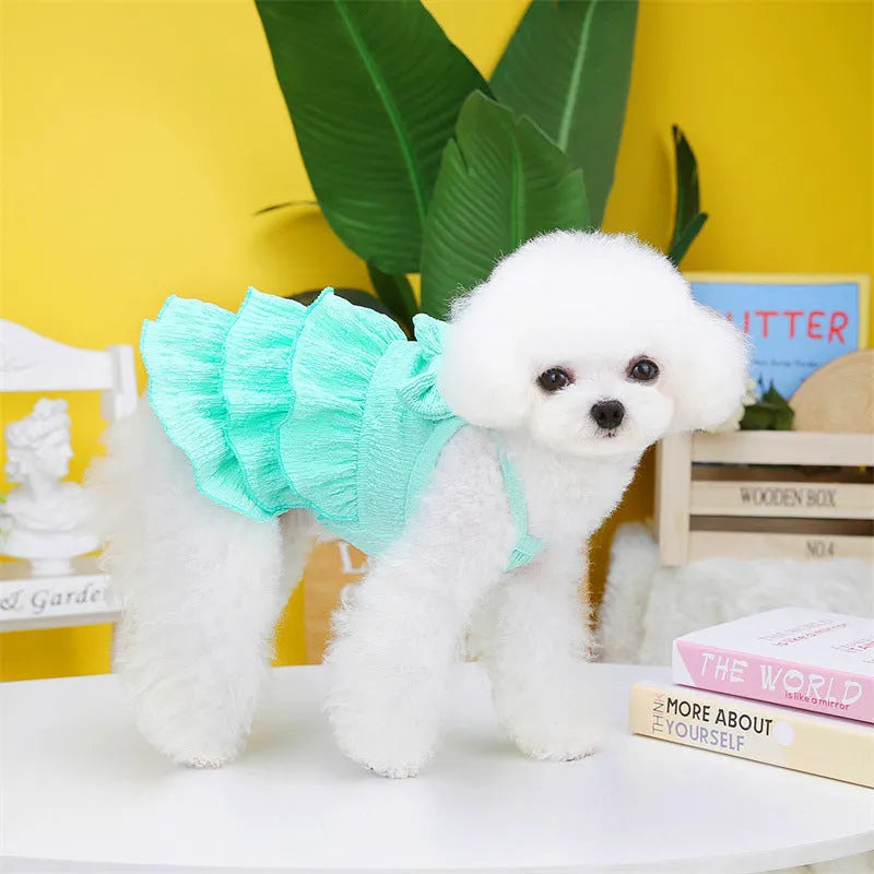Small dog wearing a rose red polyester princess dress with a candy layered skirt.