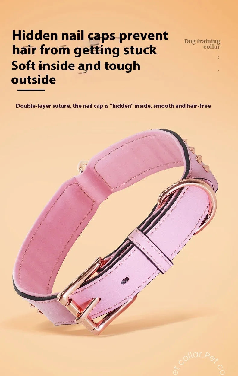 Leather dog collar with brass anti-bite rivets in black, shown with metal buckle.