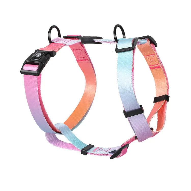 A gradient colour polyester dog harness shown in one of four colour options: purple, blue sea, neon, or green.