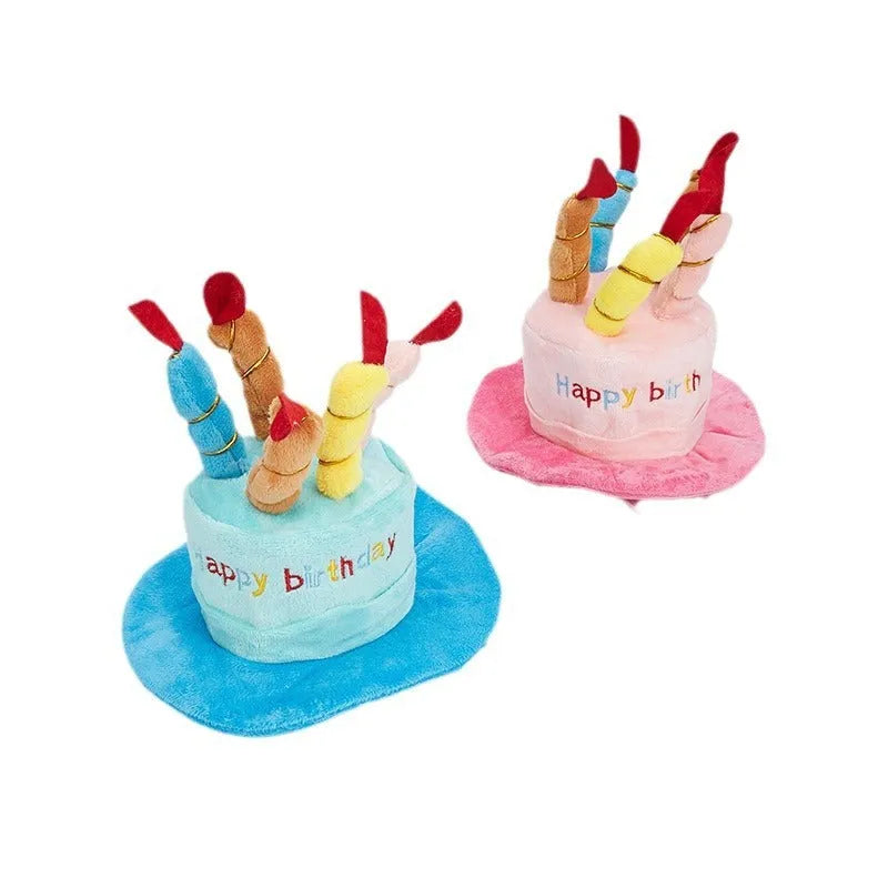 Small dog wearing removable blue birthday hat accessory for canine celebrations
