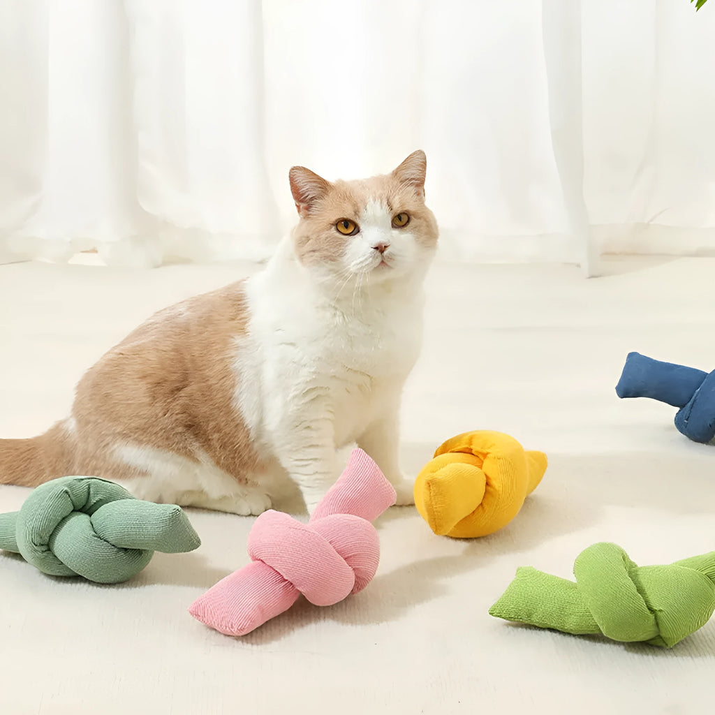 White cotton knotted dog rope toy for tugging and chewing games.