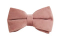 Light purple and pink velvet dog collar with matching leash and bow accessory set on a white background.