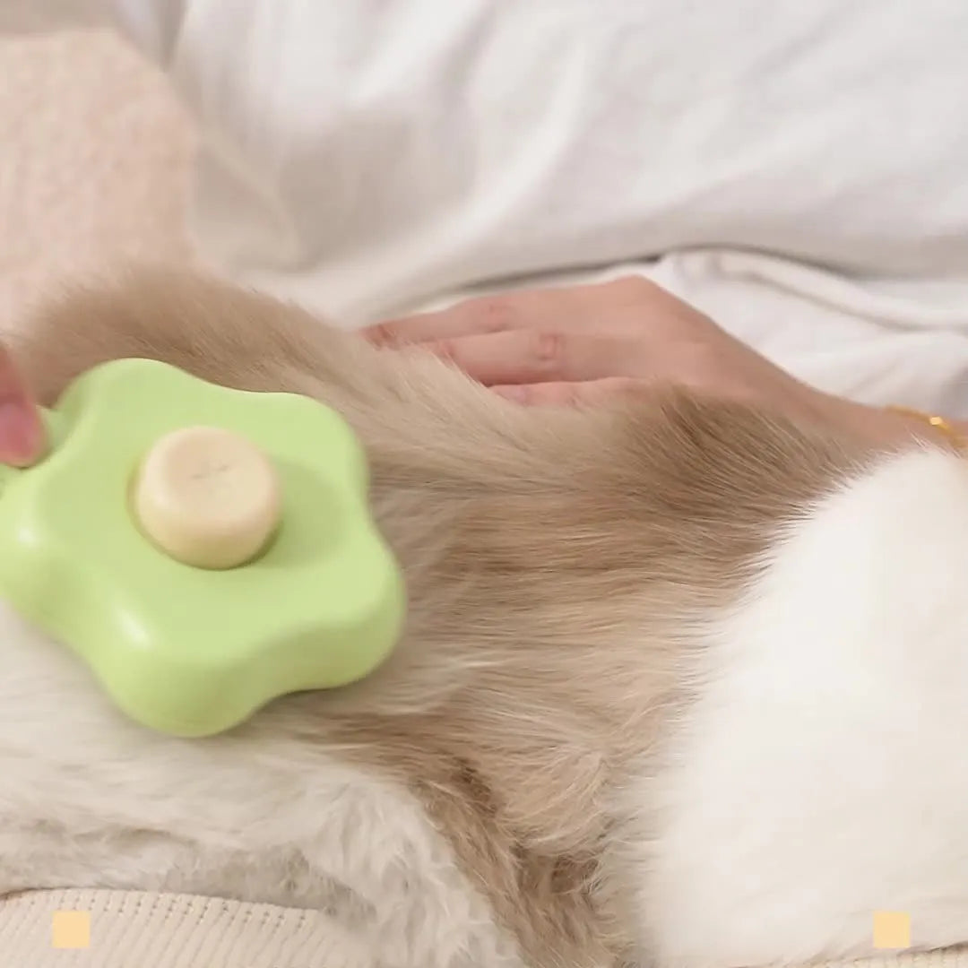 Green self-cleaning cat comb with stainless steel needle pins for pet grooming