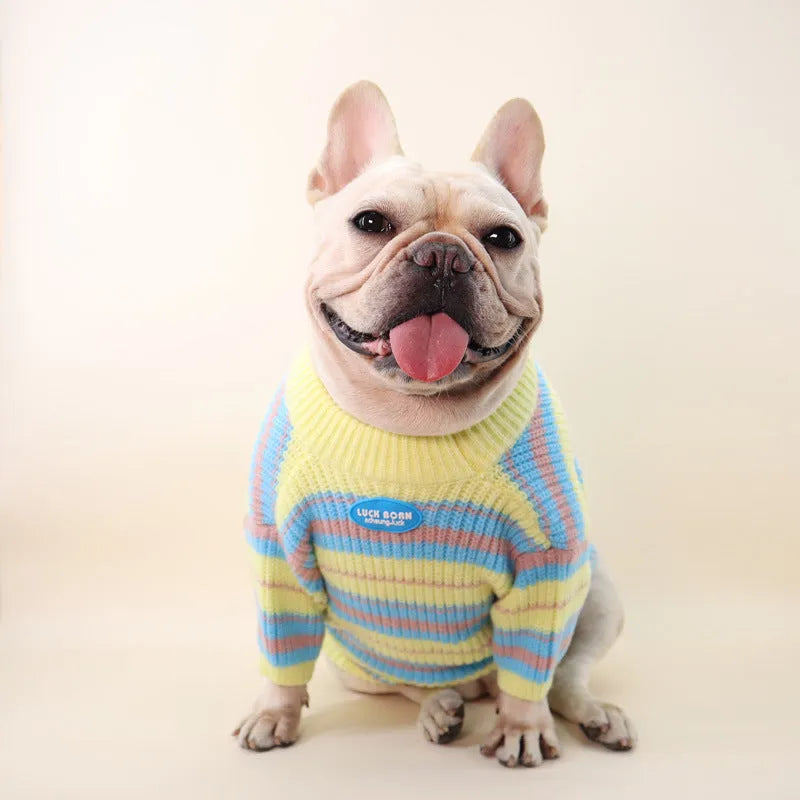 Blue and yellow striped wool dog sweater for small breeds in sizes XS to XXL