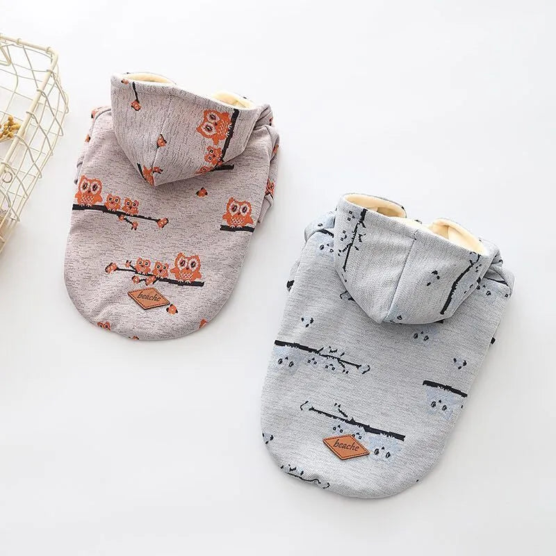 Blue or pink cotton dog sweater with zipper front and casual pattern design