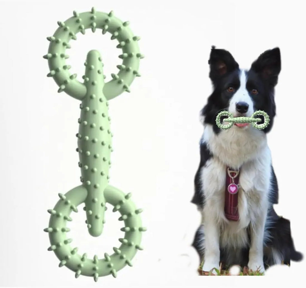 Blue TPR dog chew ring toy for puppies and dogs measuring 16cm