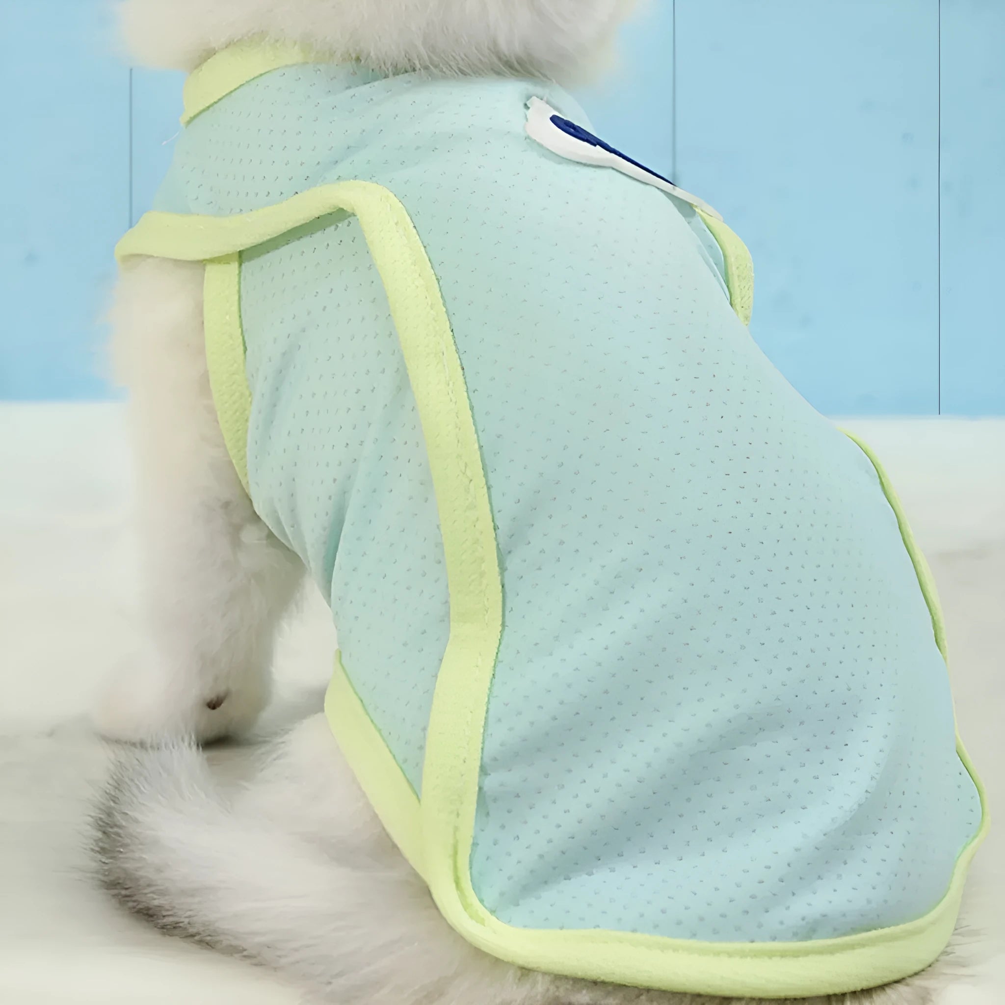 Lightweight polyester cat vest in grass green available in six sizes from XS to 2XL