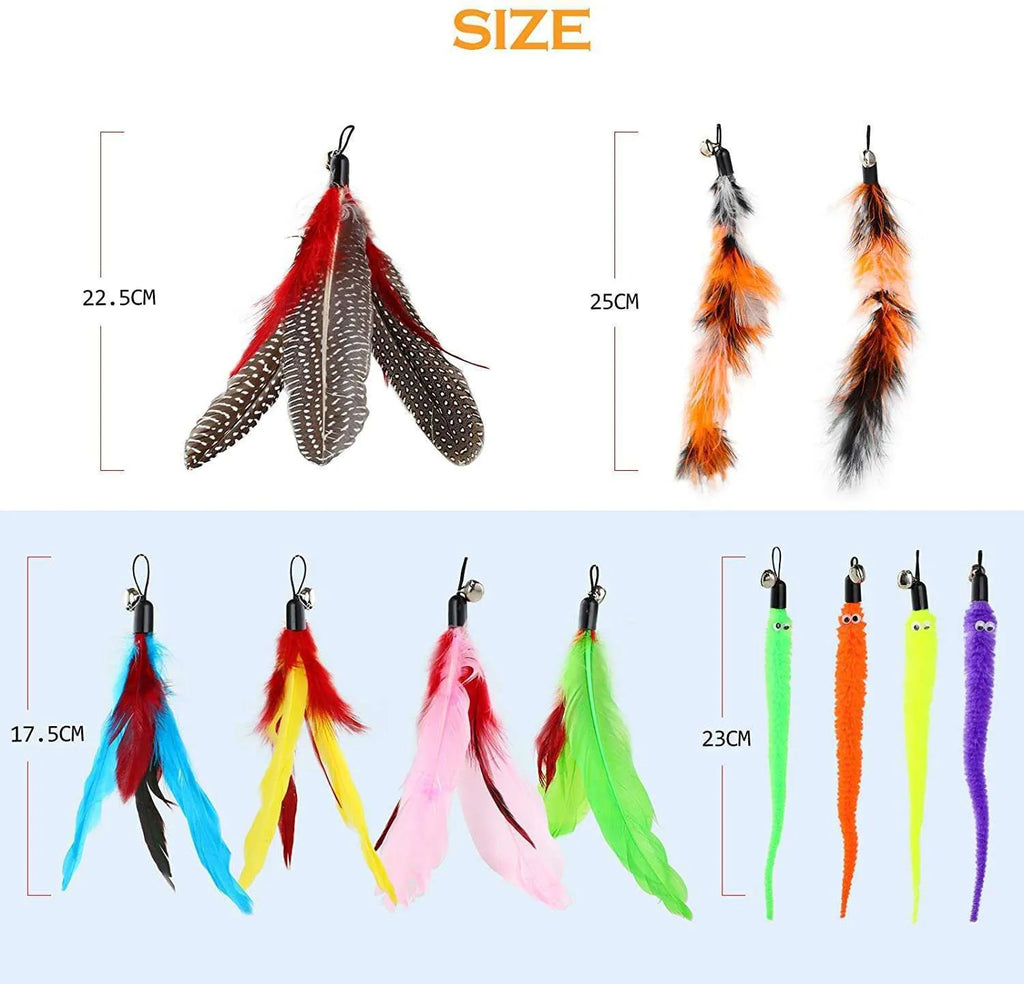 Extendable cat fishing rod toy with feather heads, showing two poles and multiple attachments