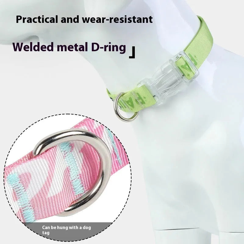 Adjustable nylon dog collar with cartoon gradient printing pattern in two colour variants