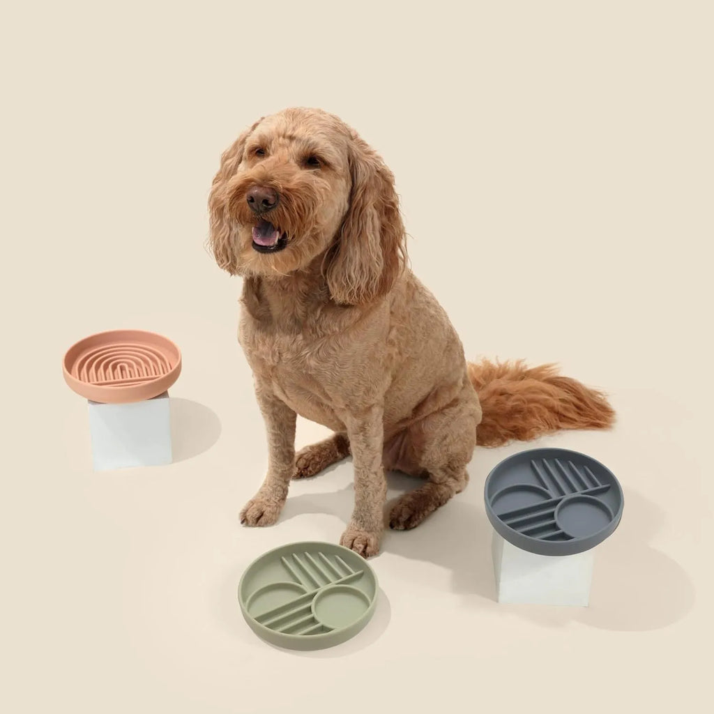 Silicone dog slow feeder bowl with textured ridges, shown in mustard green colour.