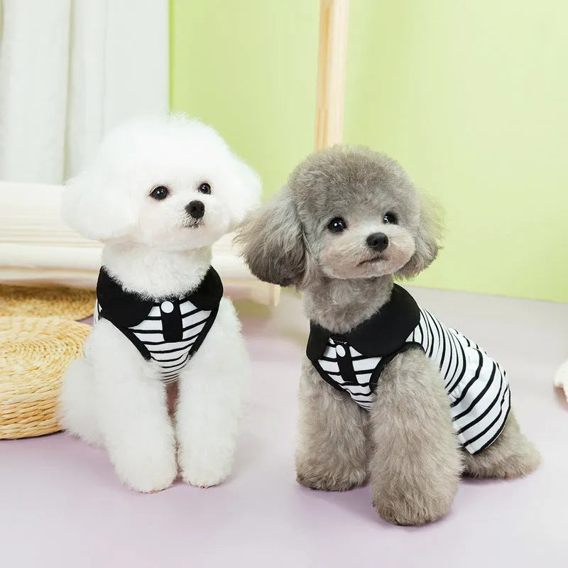 Pet dog wearing striped cotton t-shirt with matching skirt summer outfit set