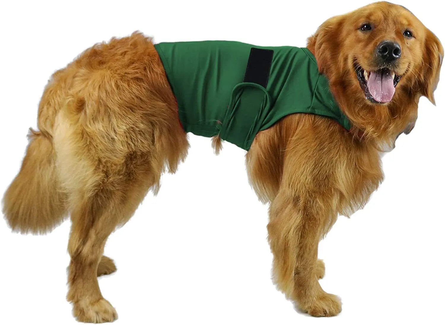 A dog wearing a soft cotton tank top for anxiety relief, shown in a choice of colours including brown, dark blue, dark green, and grey.
