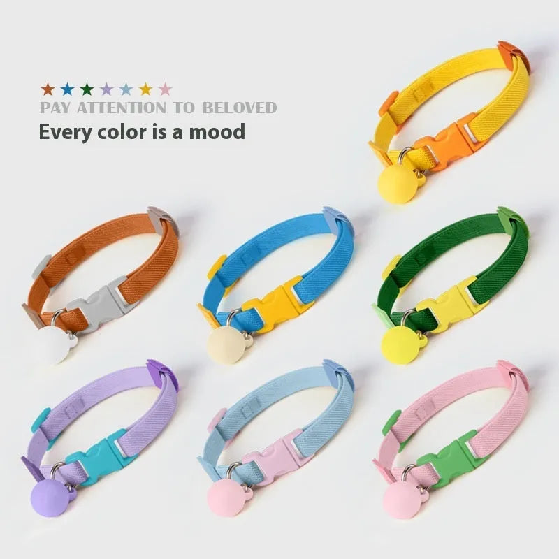 A high elasticity polyester pet collar for small dogs, shown in multiple solid colours on a white background.