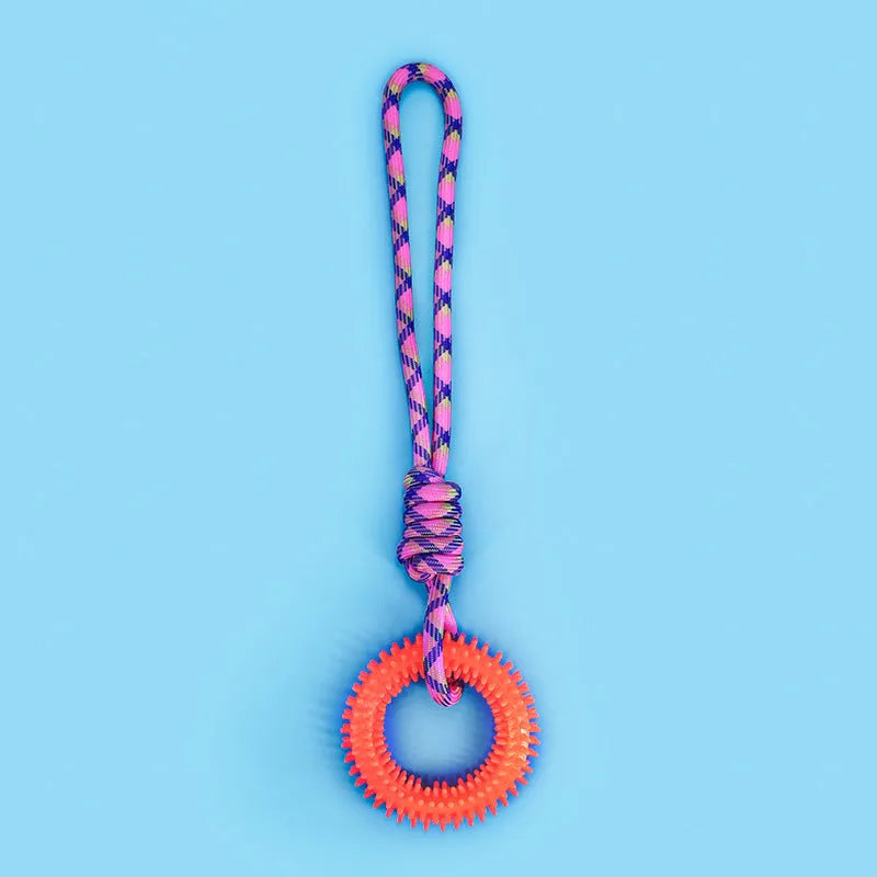 Blue braided rope pet toy with knot design measuring 43cm long for bite-resistant puppy entertainment