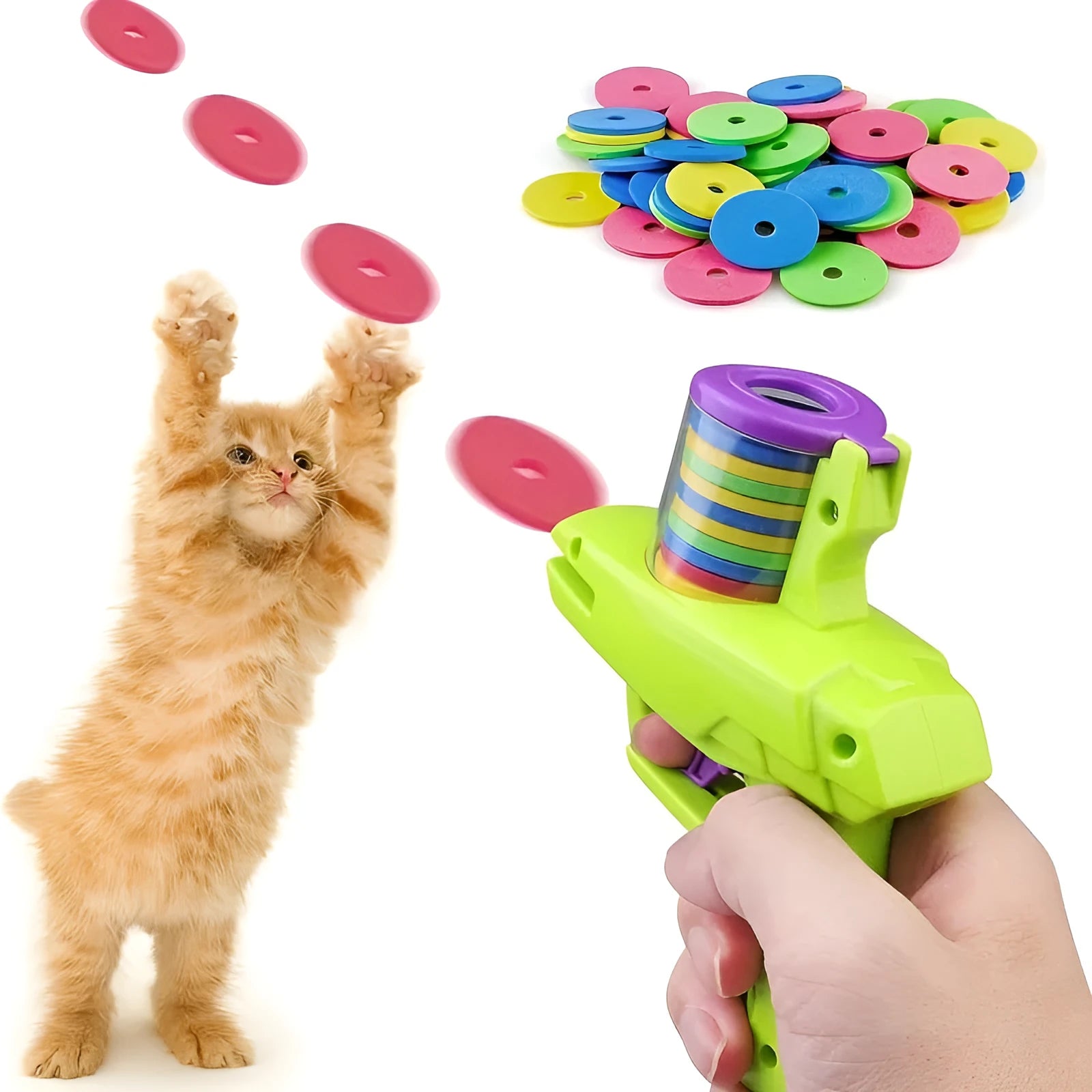 Interactive cat toy launcher with foam disc in green or purple colour