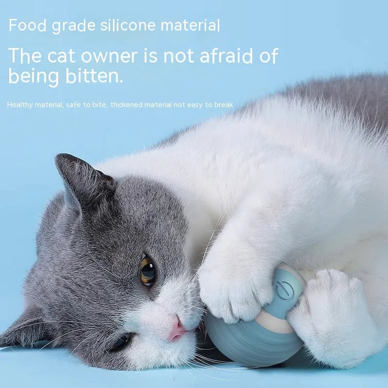 Blue automatic moving cat ball toy with USB charging cable for indoor feline entertainment