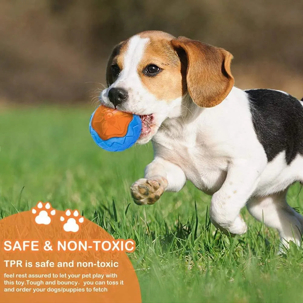 Set of three dog toys: a red ball, a blue barbell, and an orange tyre, floating in water.
