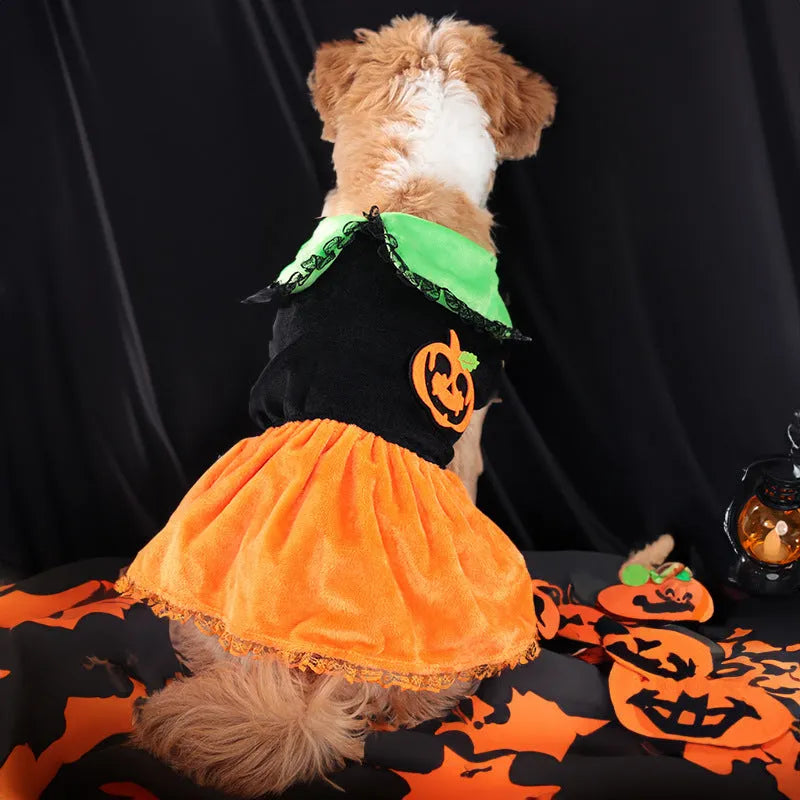 Halloween pumpkin skirt pet costume for small dog or cat in crystal velvet material