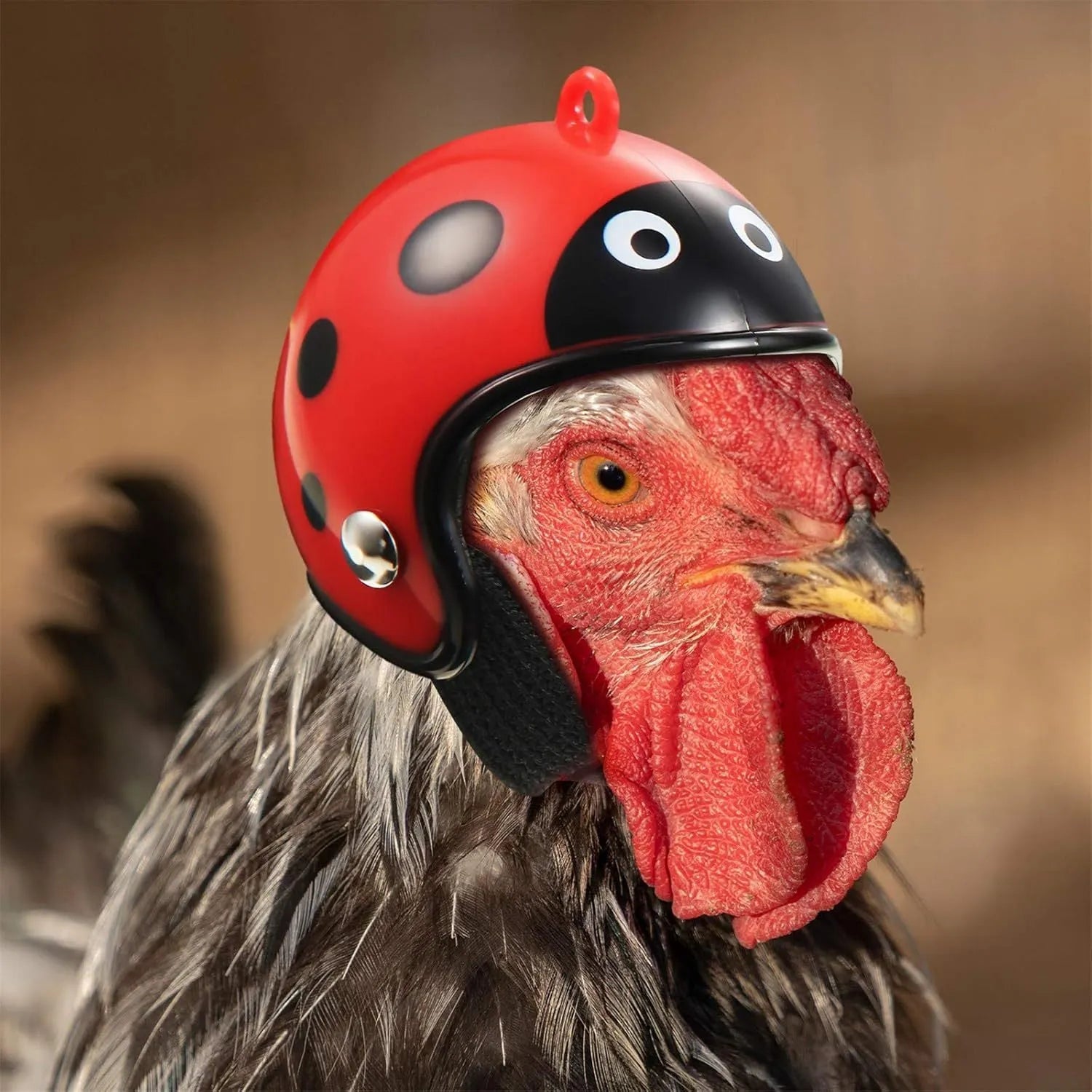 Small pet safety helmet for chickens and birds with adjustable elastic bands