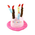 Small dog wearing removable blue birthday hat accessory for canine celebrations