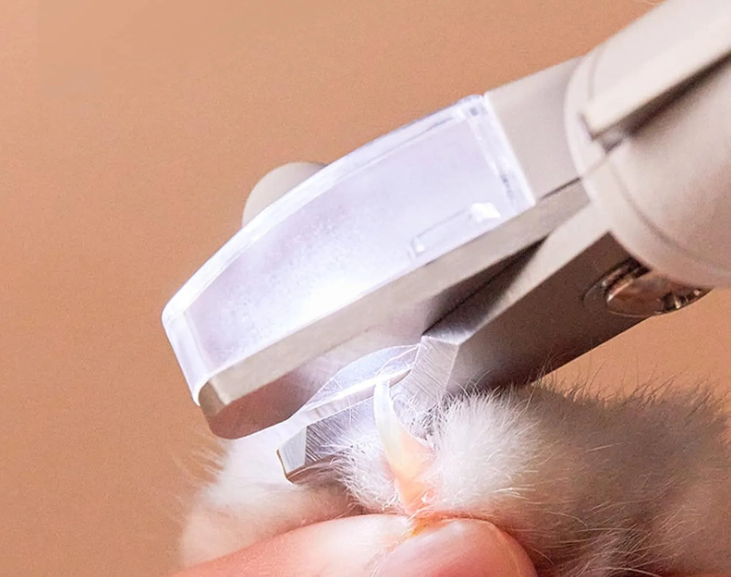 White pet nail clippers with LED light, anti-splash guard, and built-in file on a grey surface