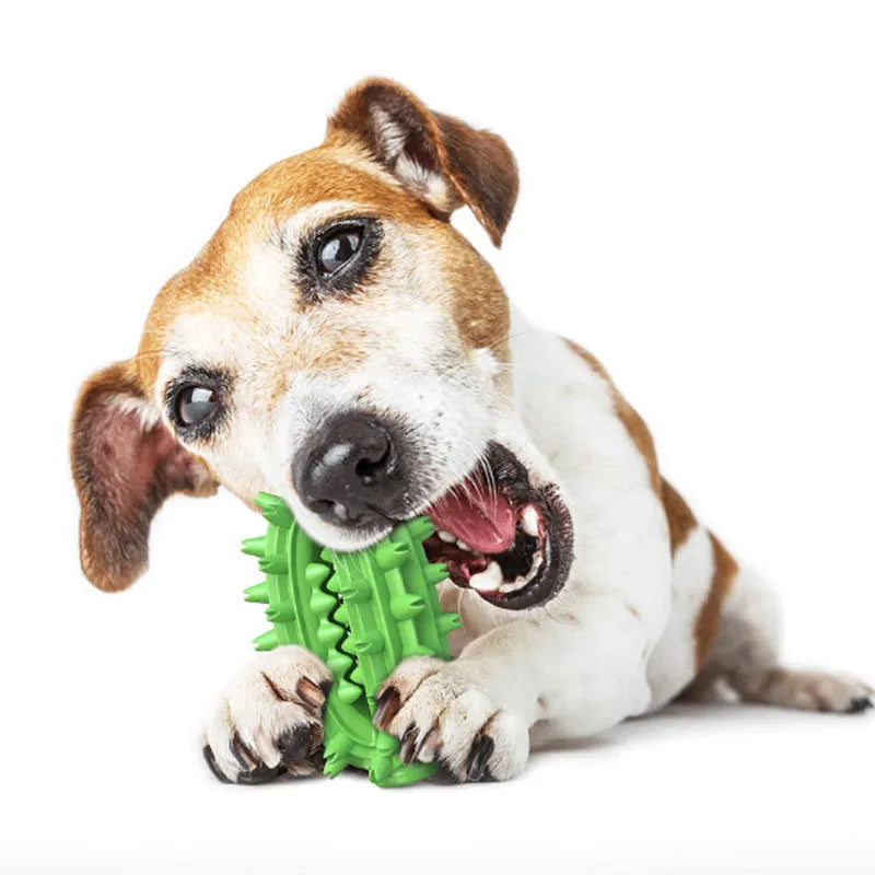Green cactus-shaped dog chew toy with textured cleaning surfaces and central treat channel