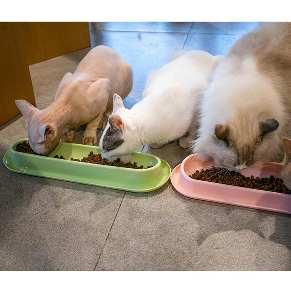 Green leakproof dual pet bowl feeder with non-slip base for dogs and cats.