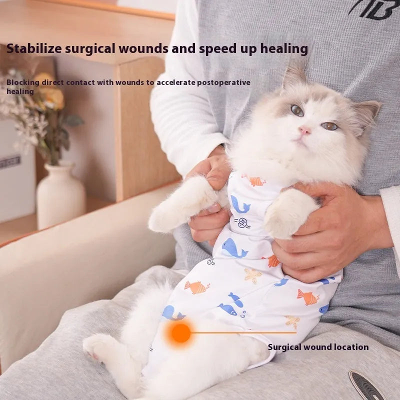 Cat wearing a blue printed polyester recovery suit after surgery, showing the Velcro fastening on its back.