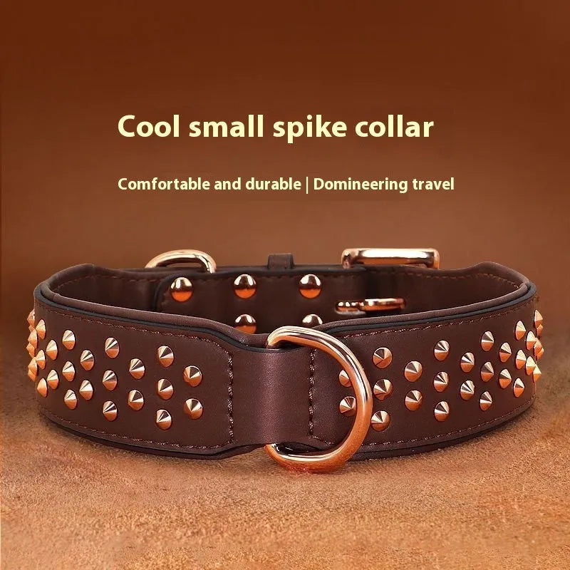 Leather dog collar with brass anti-bite rivets in black, shown with metal buckle.