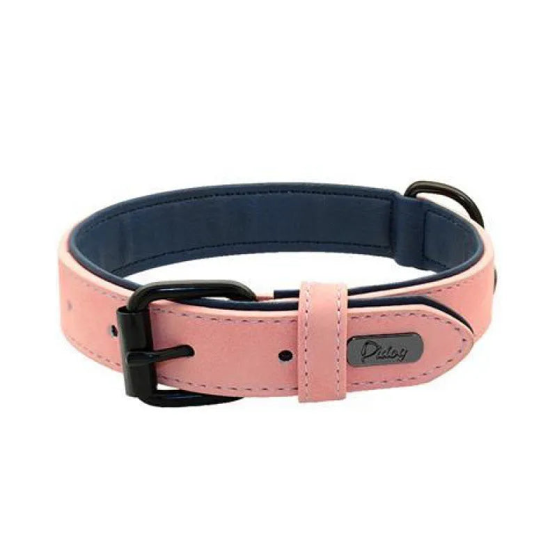 Adjustable anti-loss dog collar in five colour options with metal buckle and double-layer construction