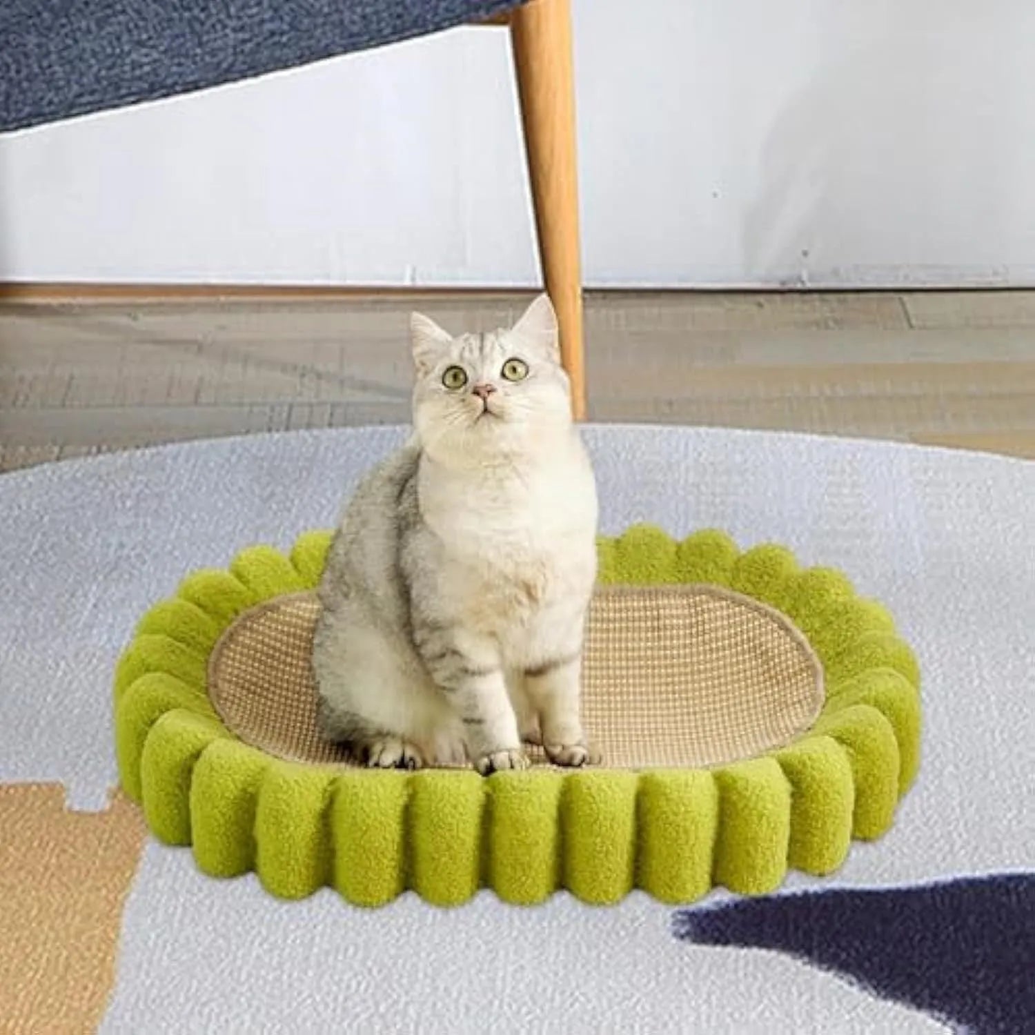 Green oval sisal cat scratching pad bowl serving as a cat bed and furniture protector
