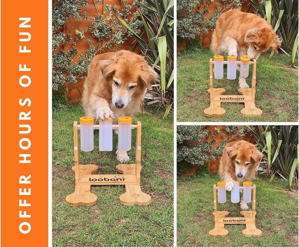 Wooden dog puzzle toy and interactive feeder in natural wood colour, dimensions 31x30x20cm.