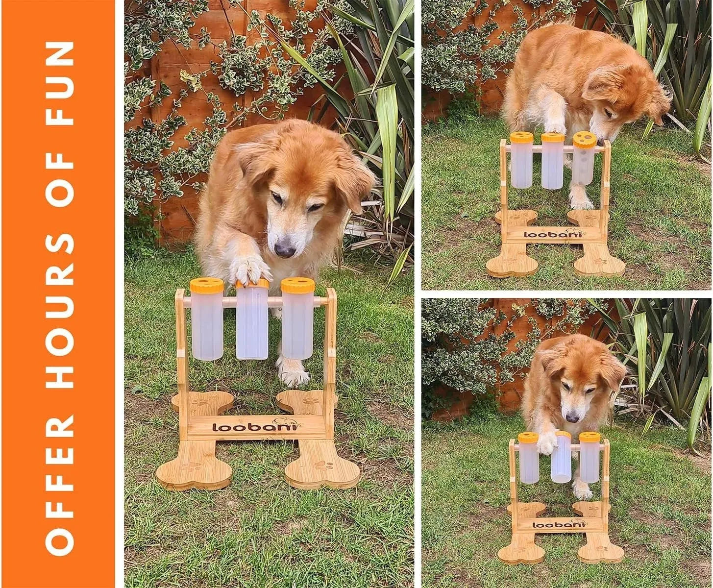 Wooden dog puzzle toy and interactive feeder in natural wood colour, dimensions 31x30x20cm.