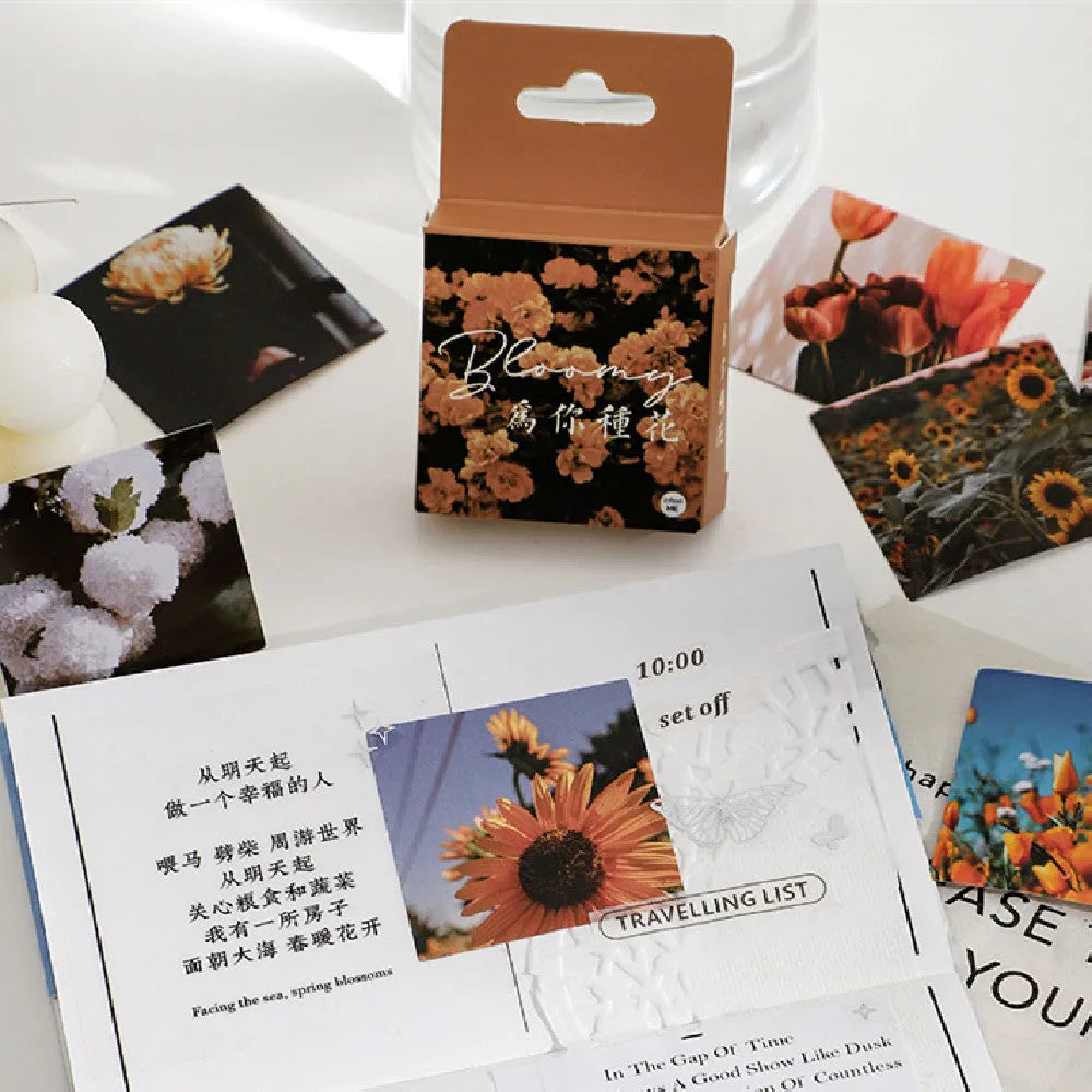 Box containing 46 decorative Nordic style stickers in six colour themes, each sheet 44mm by 44mm.