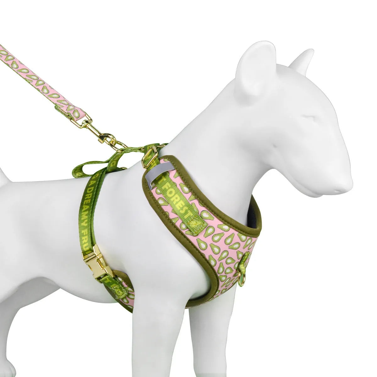 Colourful pet haulage rope with chest-back traction belt suit for medium and large dogs