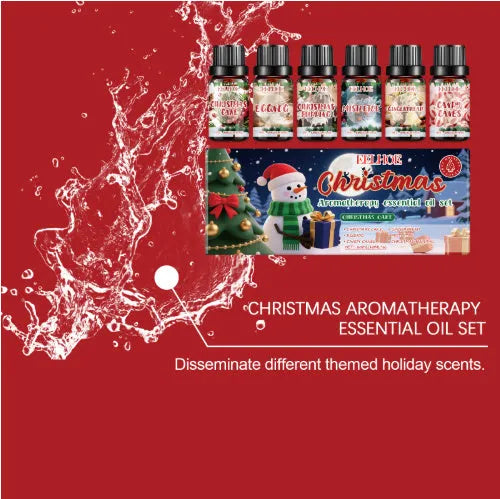 Christmas aromatherapy oil diffuser kit showing six scented oil bottles and ceramic vessel with reed sticks