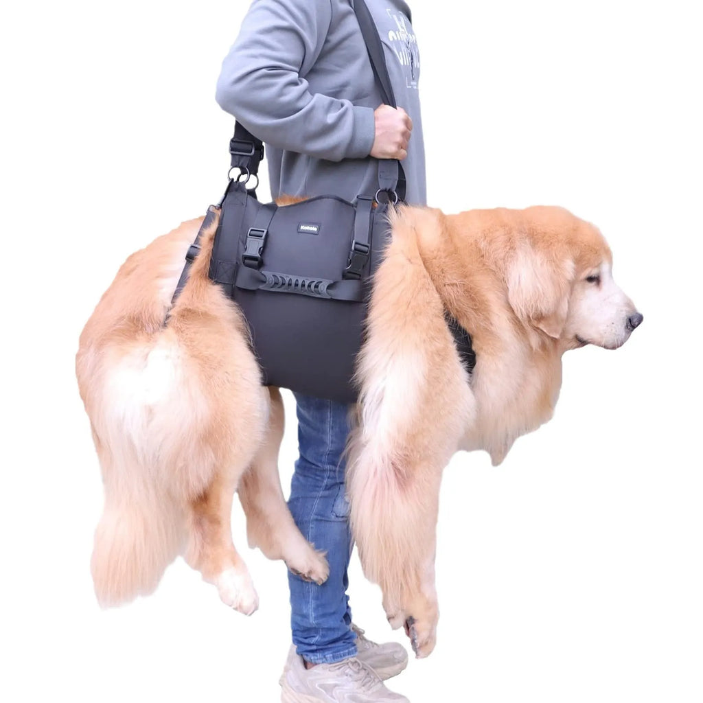 Black Oxford cloth dog harness for outdoor leg support and rehabilitation training.