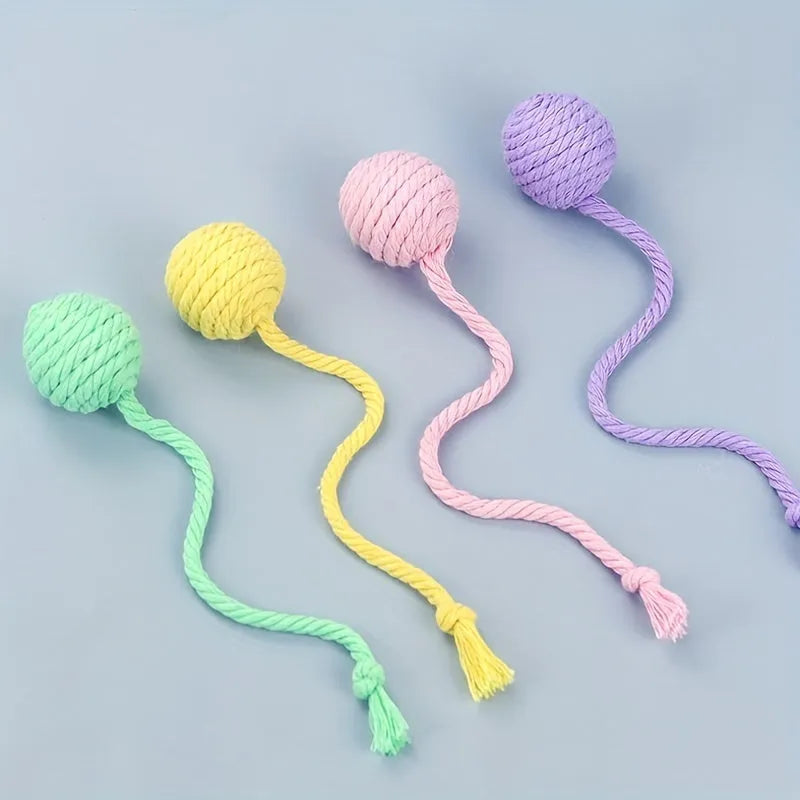 Colourful cat toy ball with rope and bell in green pink purple yellow options