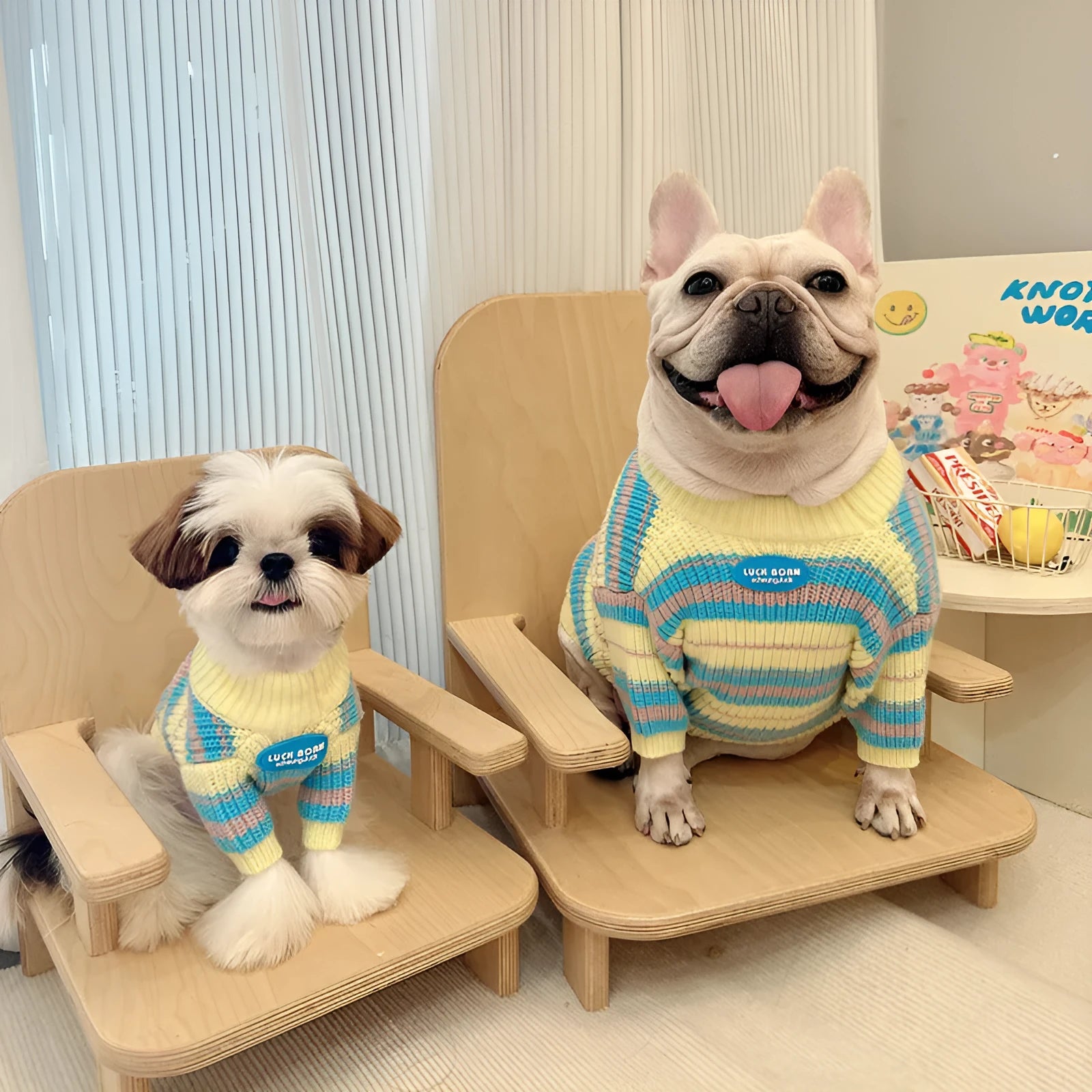 Blue and yellow striped wool dog sweater for small breeds in sizes XS to XXL