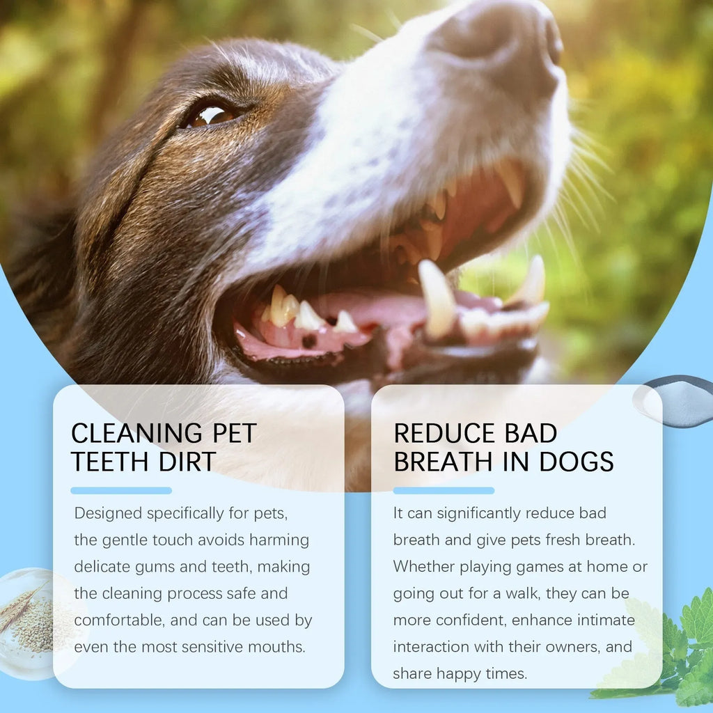 Soft Breath Care Pet Toothbrush Pen with flexible silicone bristles and 3ml refillable gel tube