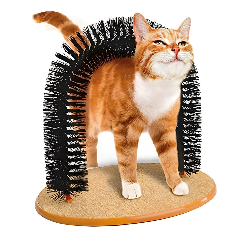 Arched plastic cat toy with built-in brush bristles for scratching and grooming