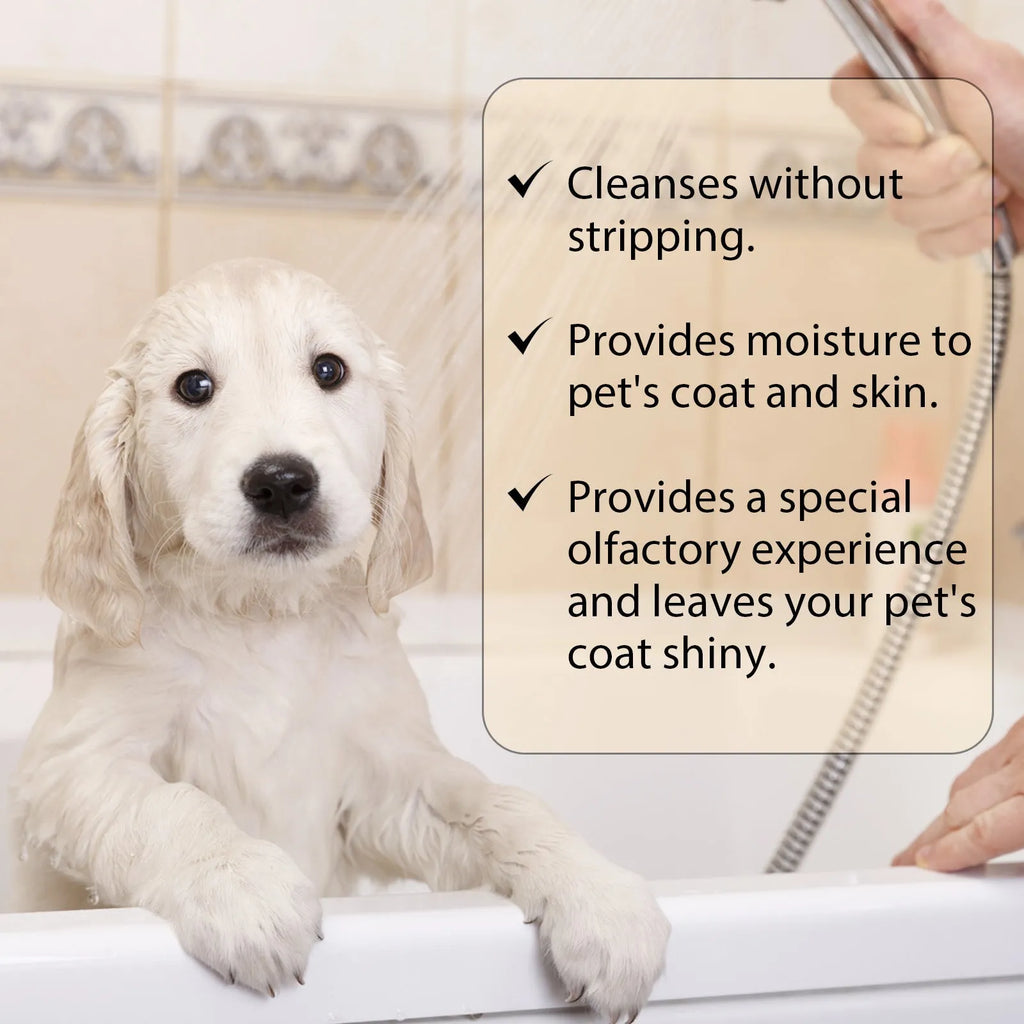Mild dog shampoo bottle with pump dispenser in 100ml and 300ml sizes