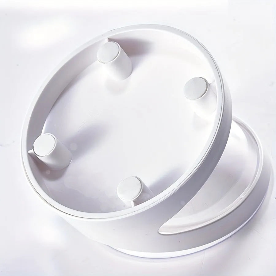 Clear white plastic cat food bowl with 4-degree anti-vomit tilt angle