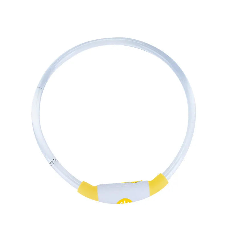 USB rechargeable LED dog collar glowing in dark with adjustable strap