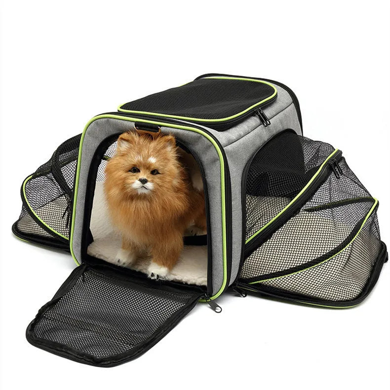 Cat carrier bag in black with red piping made from 600D cation fabric showing portable design