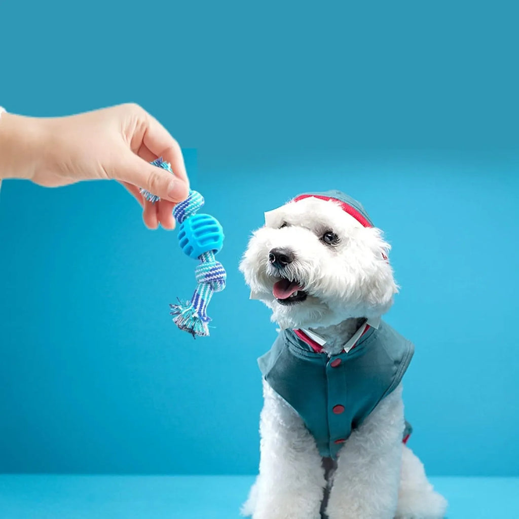Blue dog dental chew toy with rope sections and molar-cleaning ridges for oral health