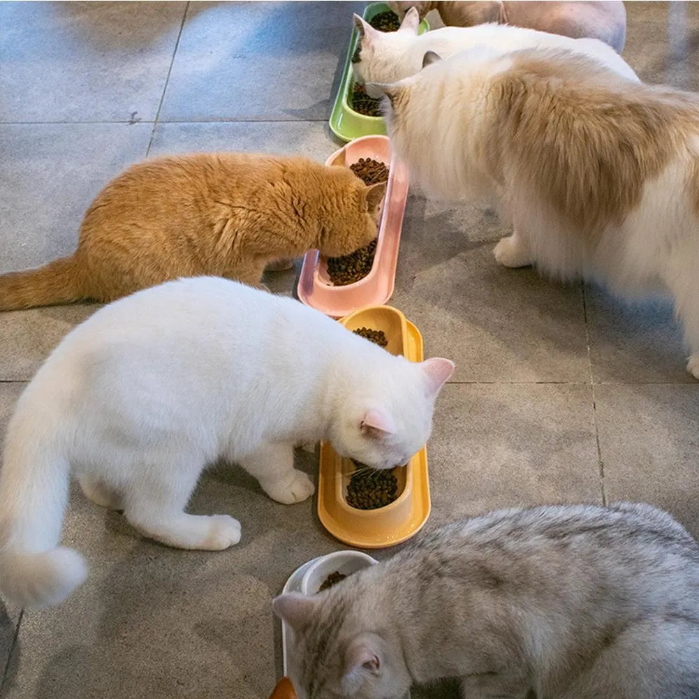 Green leakproof dual pet bowl feeder with non-slip base for dogs and cats.