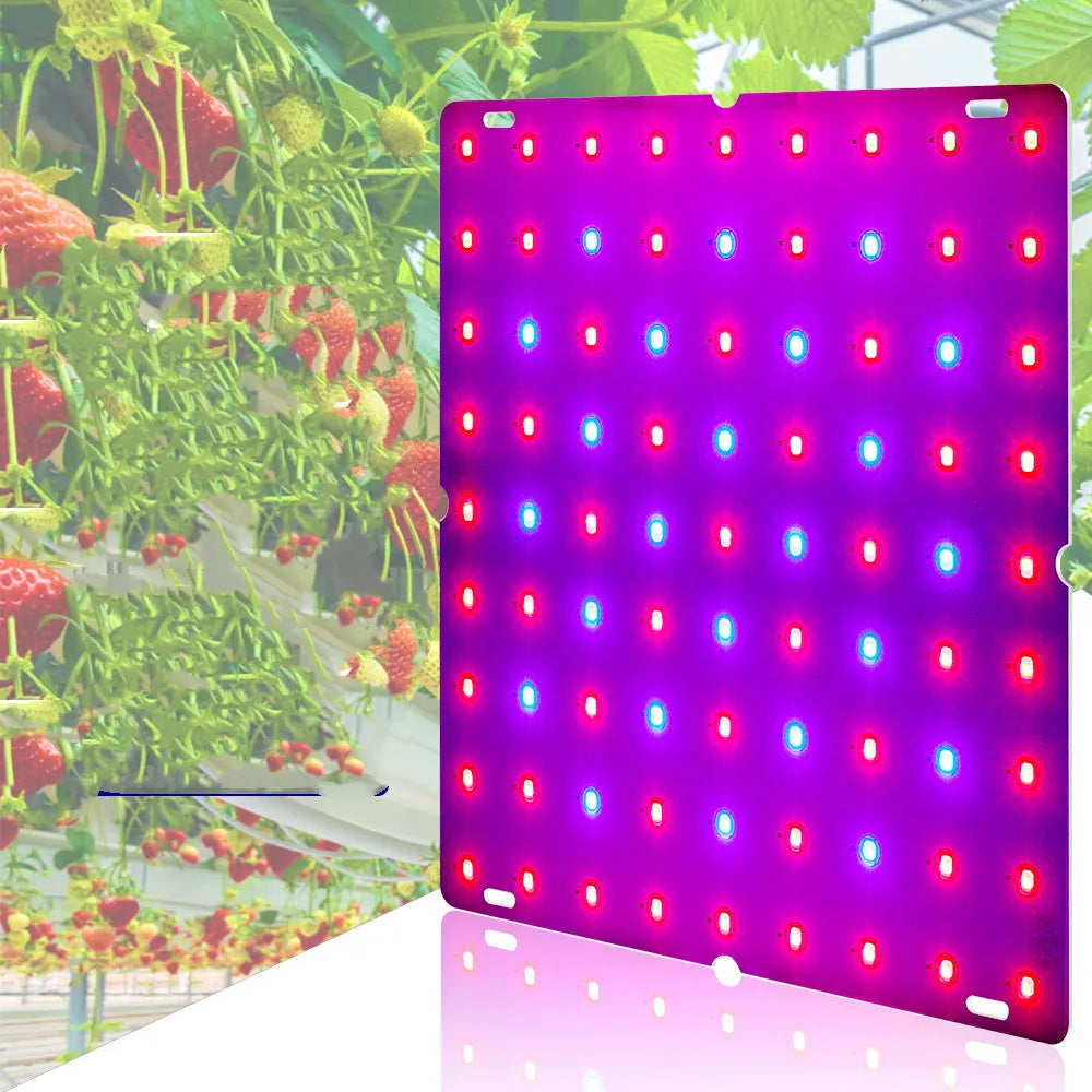 D-section bare board LED plant growth light with aluminium shell and 81 beads for indoor gardening