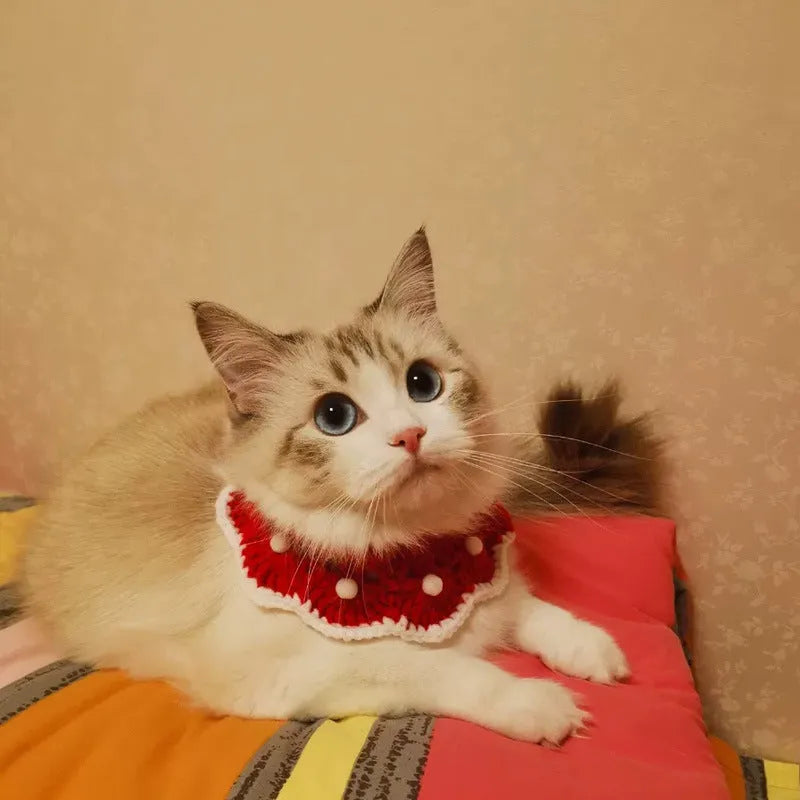 Handmade cartoon-pattern wool knitted collar for small pets in milk cotton yarn.